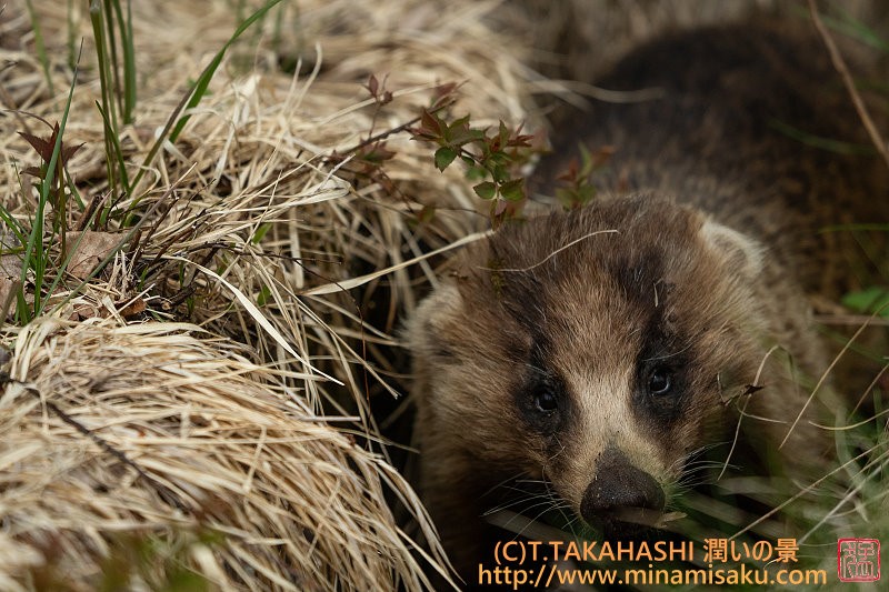 ../Images/7R250510 (64).jpg